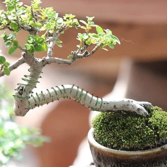 Kit de Herramientas para Bonsai Sanlykate con Cortador y 5 Rollos de Alambre de 50m