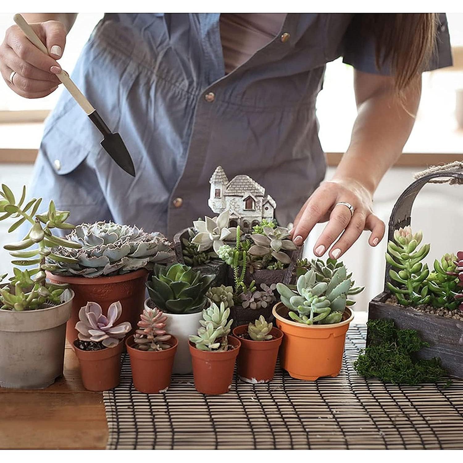 Juego de Herramientas de Jardinería Wishlotus 3 Piezas