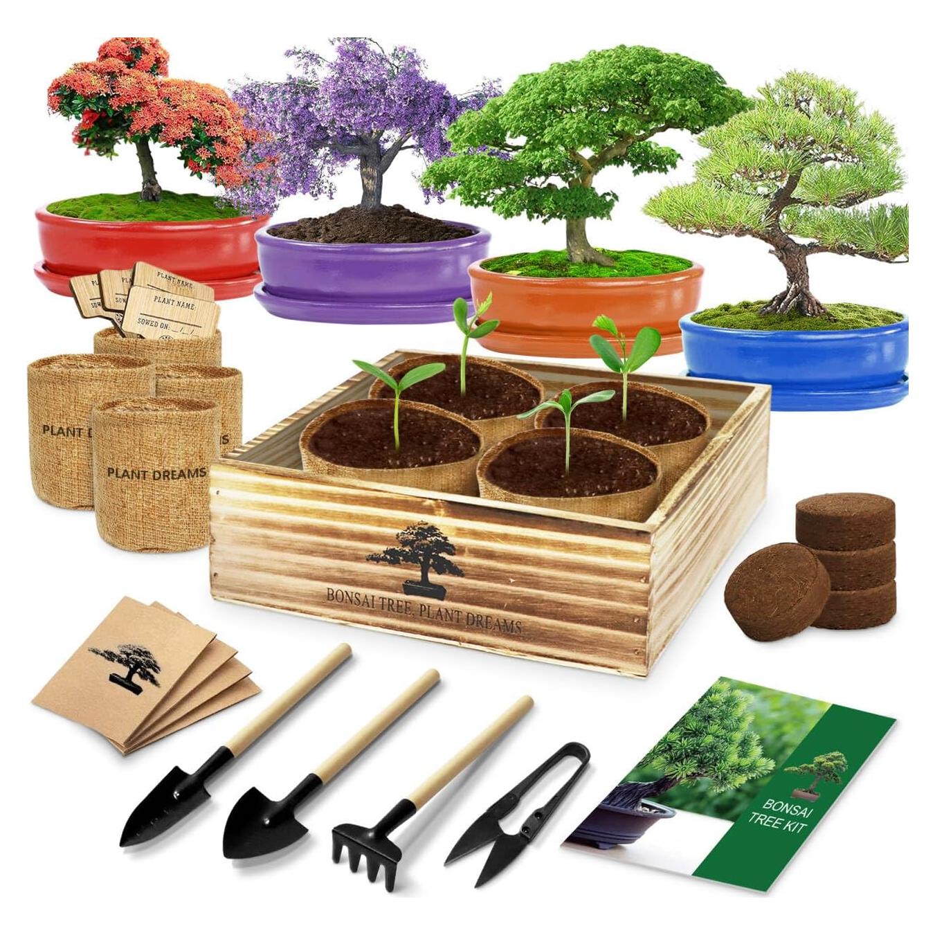 Kit de Bonsai Completo Endbug con 4 Semillas y Herramientas