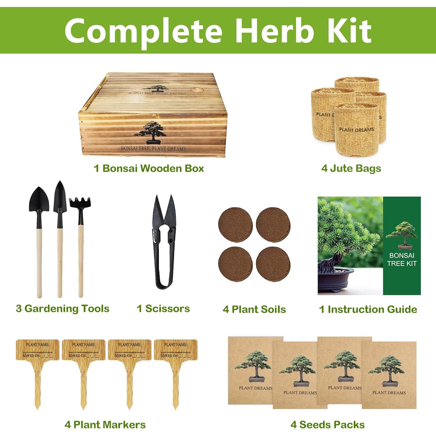 Kit de Bonsai Completo Endbug con 4 Semillas y Herramientas