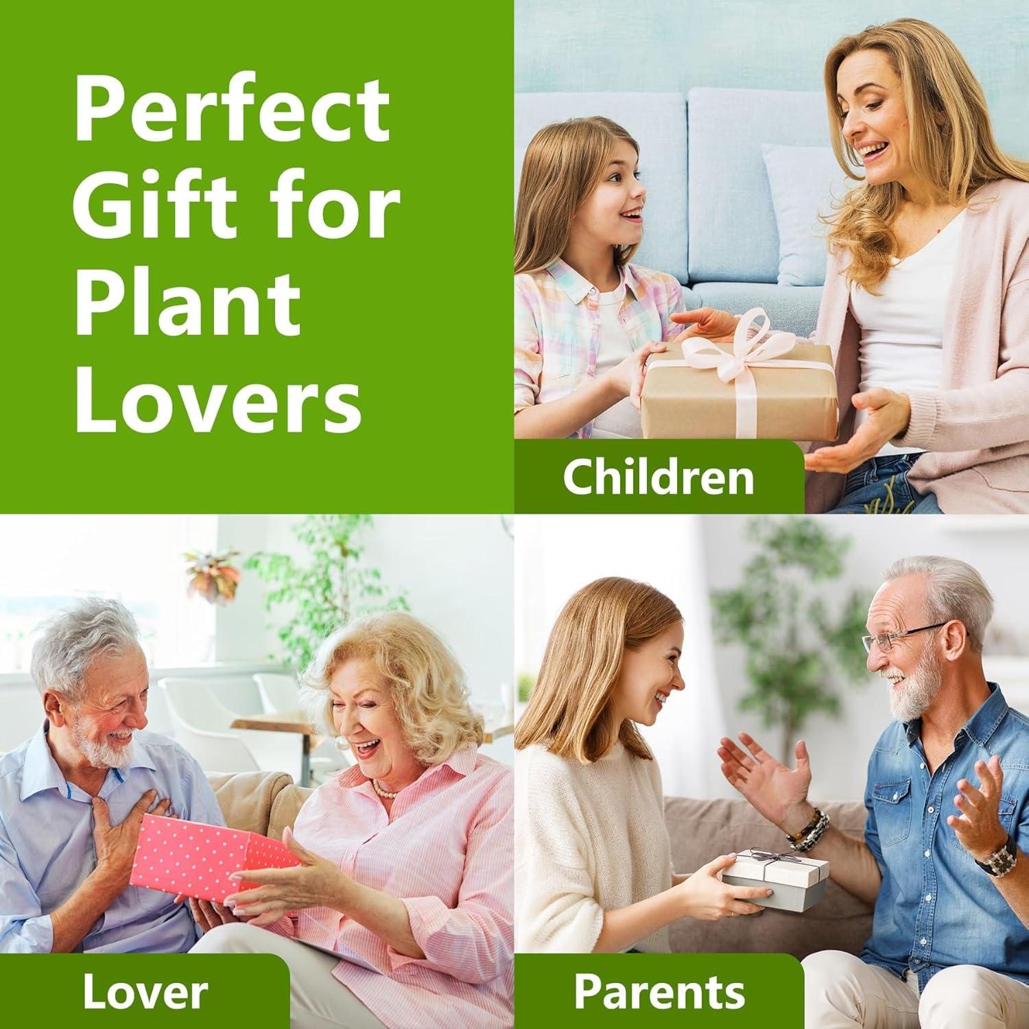 Kit de Bonsai Completo Endbug con 4 Semillas y Herramientas