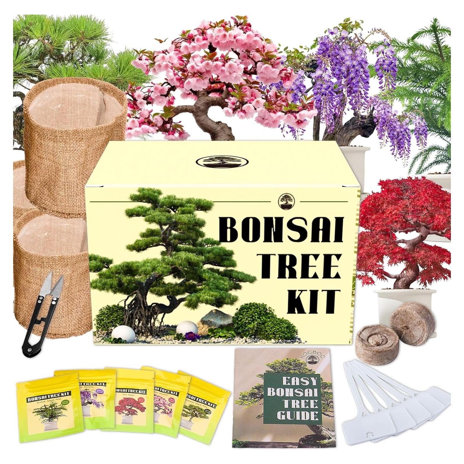 Kit de Bonsai EquSym - 5 Variedades con Herramientas y Tierra