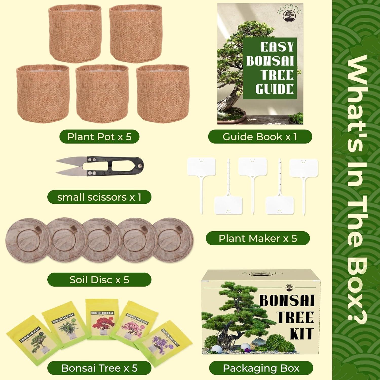 Kit de Bonsai EquSym - 5 Variedades con Herramientas y Tierra