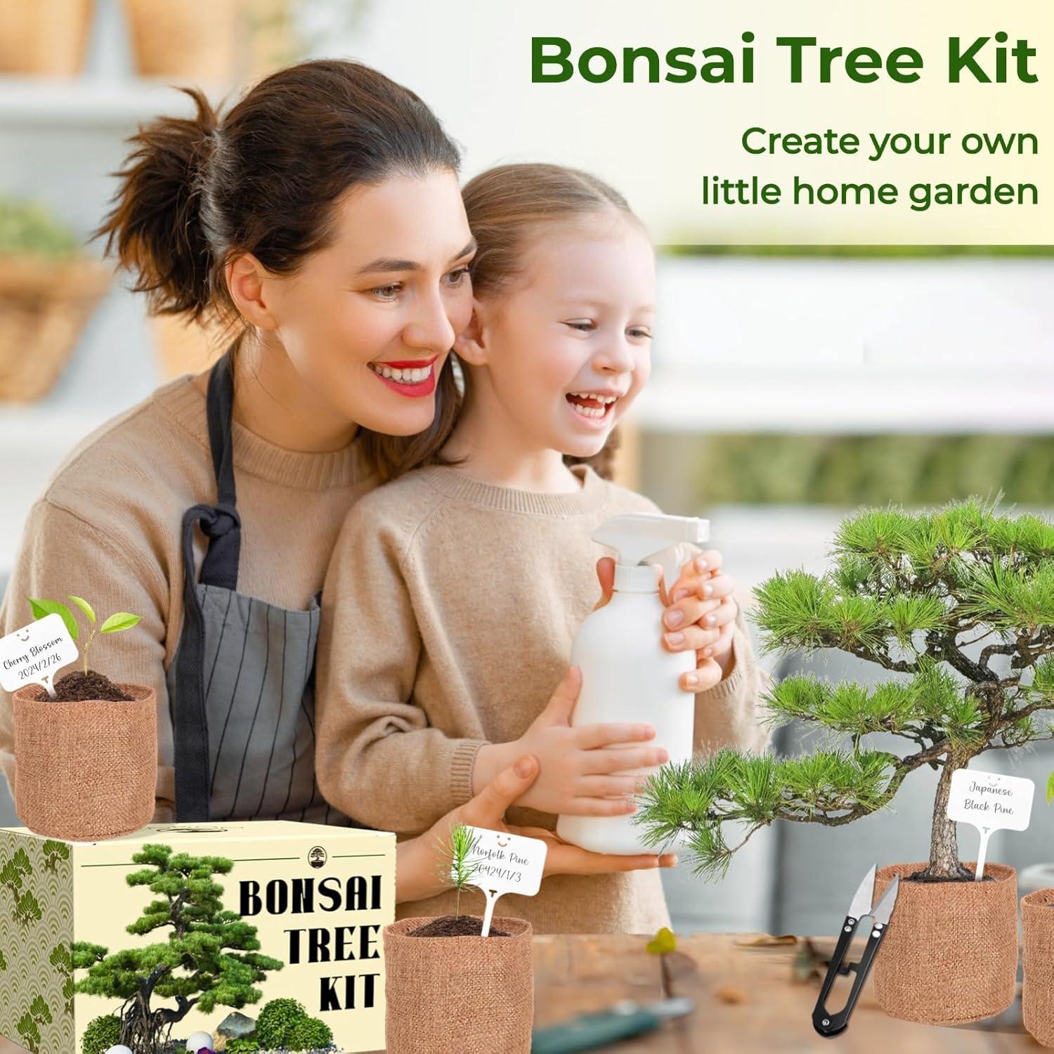 Kit de Bonsai EquSym - 5 Variedades con Herramientas y Tierra
