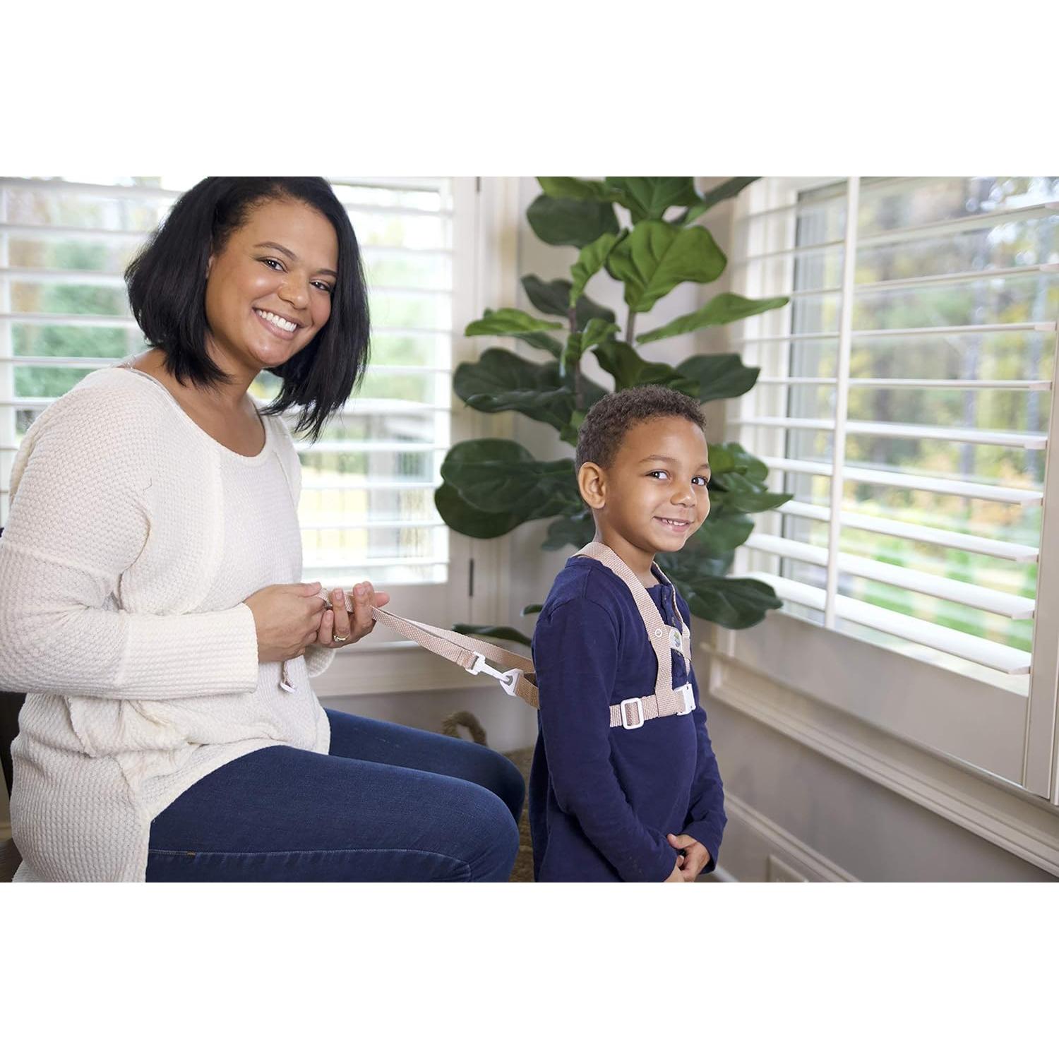 Arnés de Seguridad Deluxe para Bebés Negro - Juego de 4 Piezas