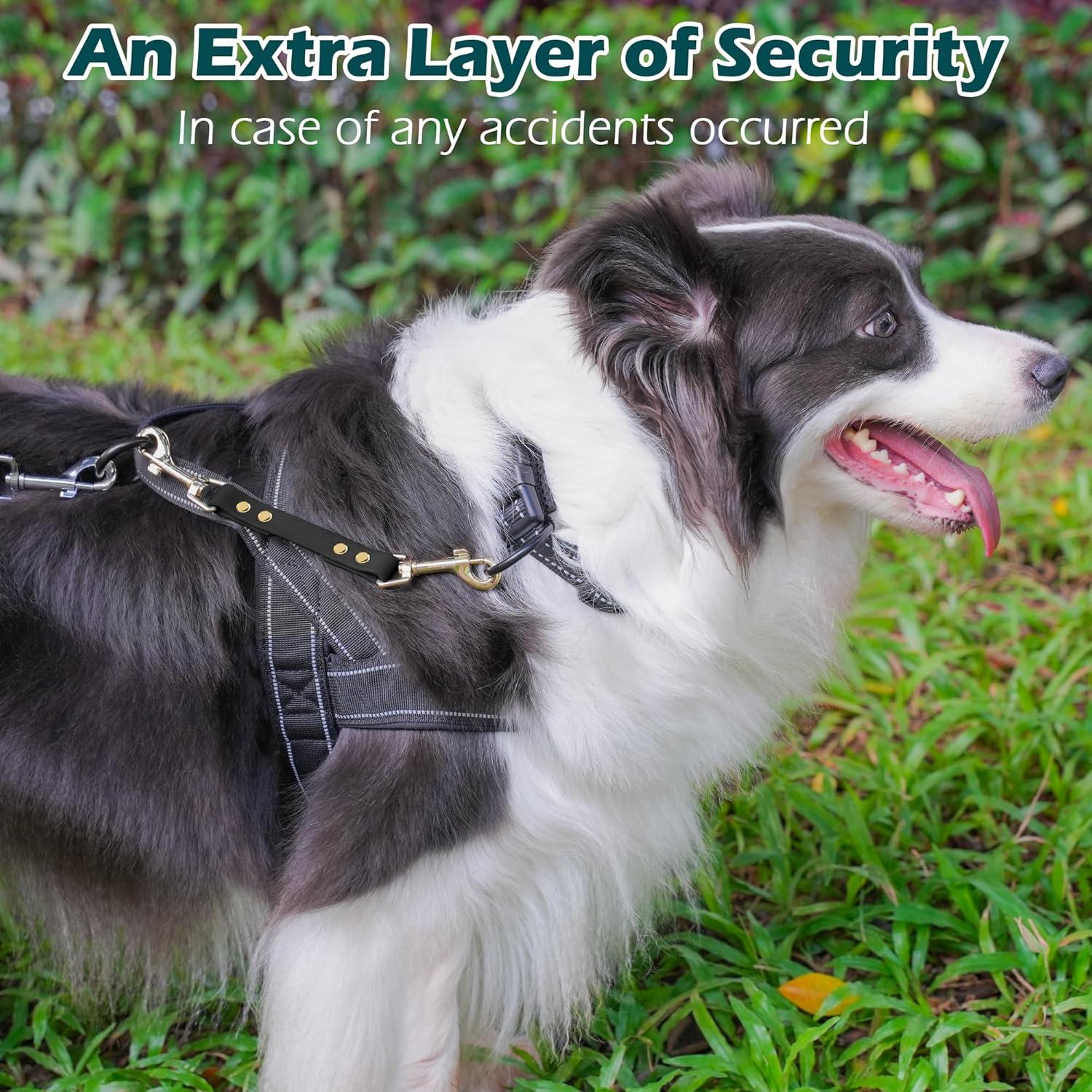 Clip de Seguridad para Collar de Perro PetBonus - Negro, Doble Extremo