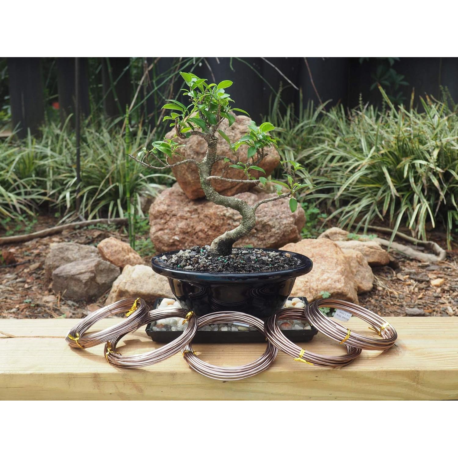 Juego de Alambre de Entrenamiento para Bonsai Grow A Bonsai Tree - 5 Tamaños, 44.8m, Aluminio Anodizado, Marrón
