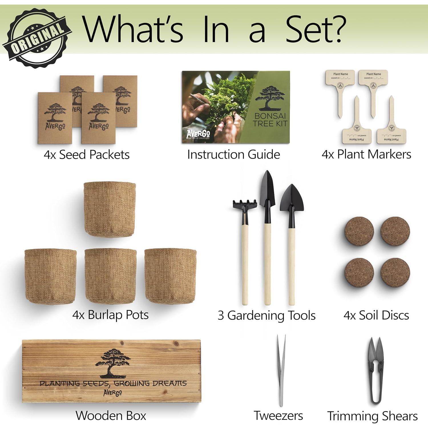 Kit de Árbol Bonsai AVERGO - 4 Árboles Japoneses para Interior