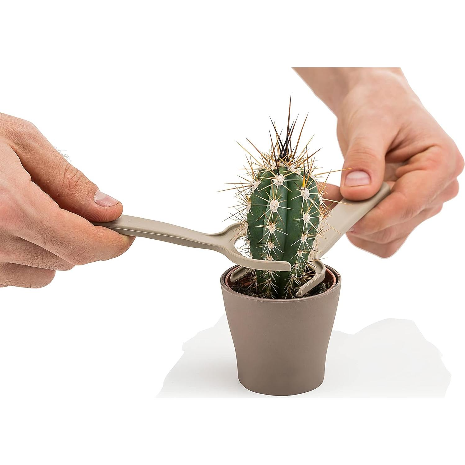 Set de Herramientas de Jardín Miniatura PoliWork - 4 Piezas