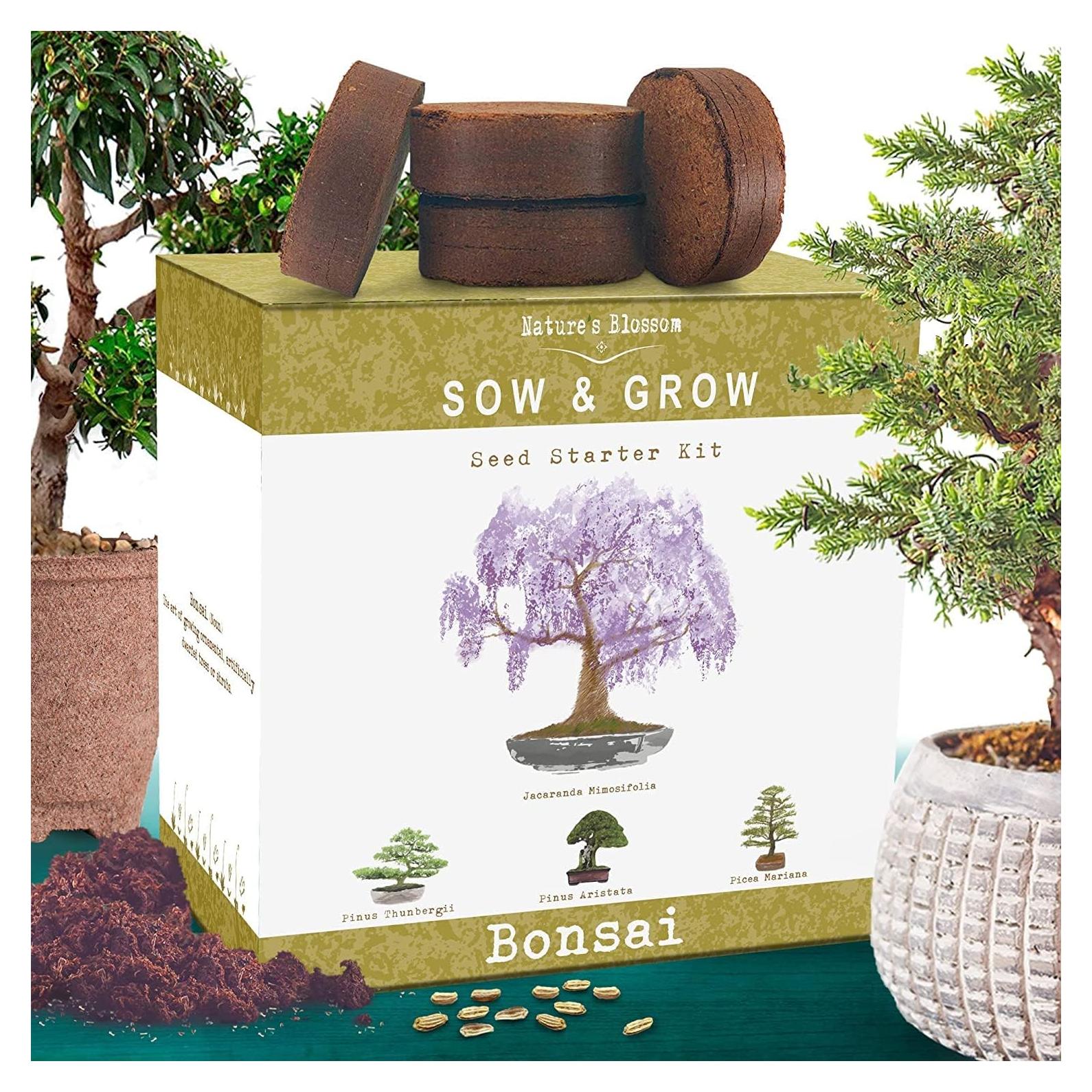 Kit de Bonsai Nature's Blossom - 4 Semillas, Herramientas y Guía