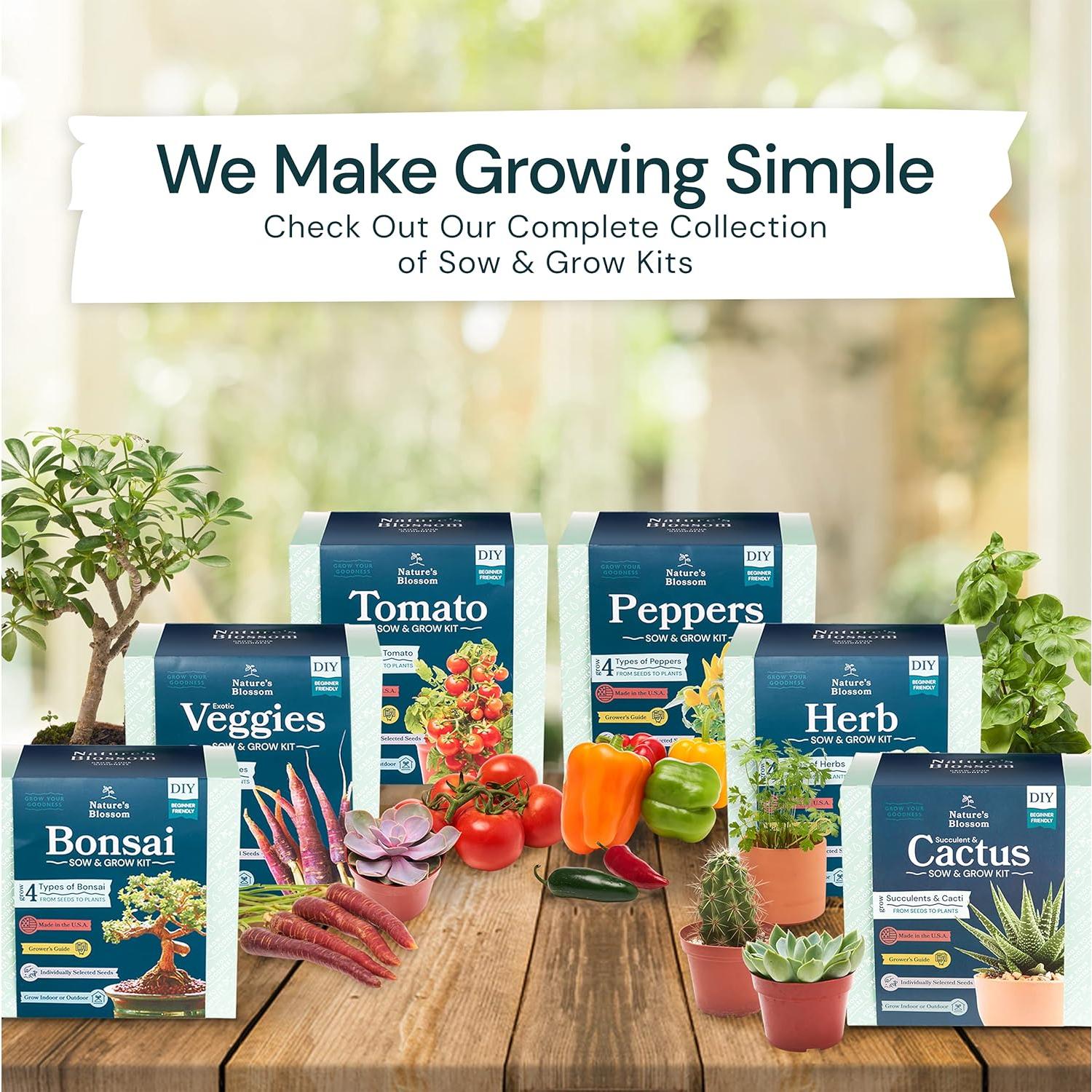 Kit de Bonsai Nature's Blossom - 4 Semillas, Herramientas y Guía