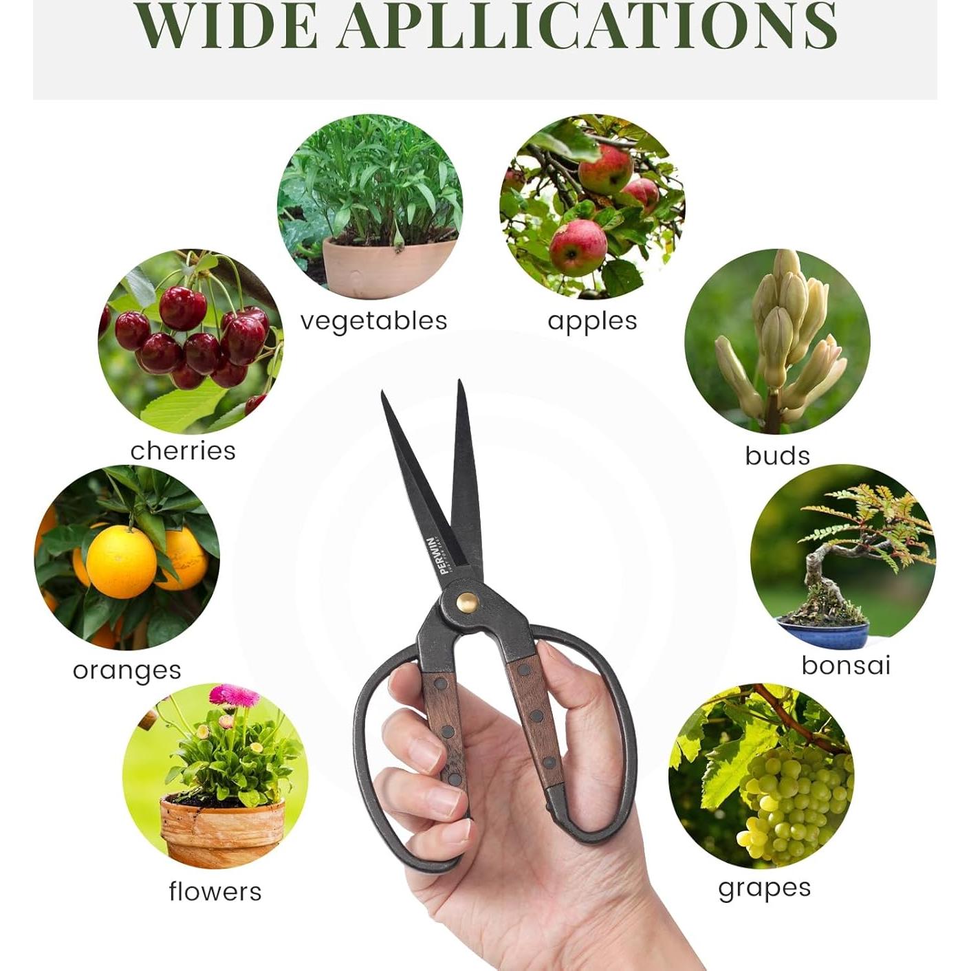 Tijeras de Jardinería PERWIN 9.5cm y 5.5cm Acero Inoxidable