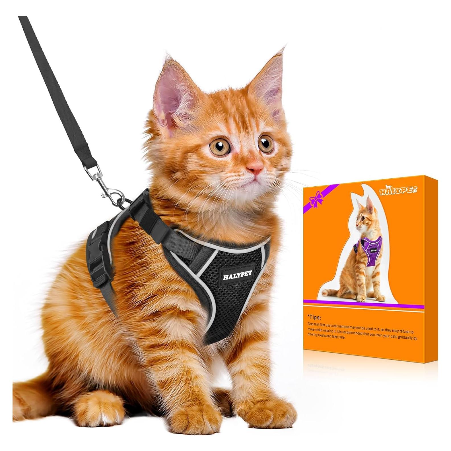 Arnés y Correa para Gato Halypet H600 Pro - Pequeño Negro