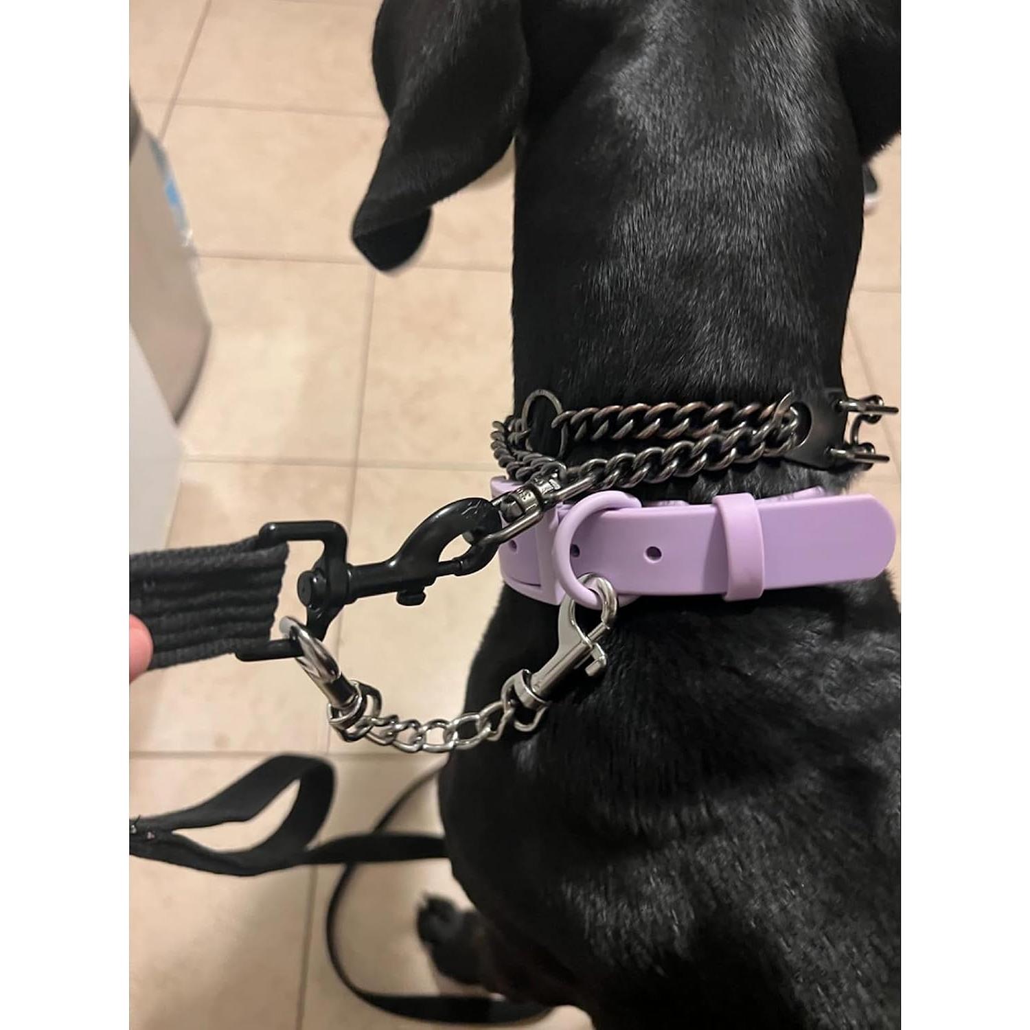 Clip de Seguridad para Collar de Perro MOZETO 18 cm Acero Inoxidable