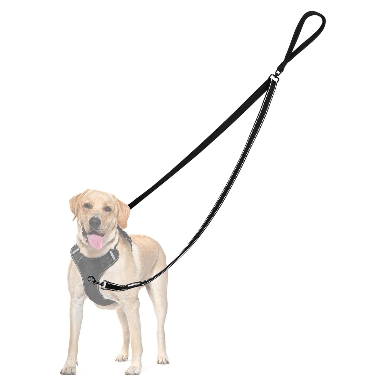 Correa para Perros PetBonus 2 Puntos, Mango Acolchado 1.22m