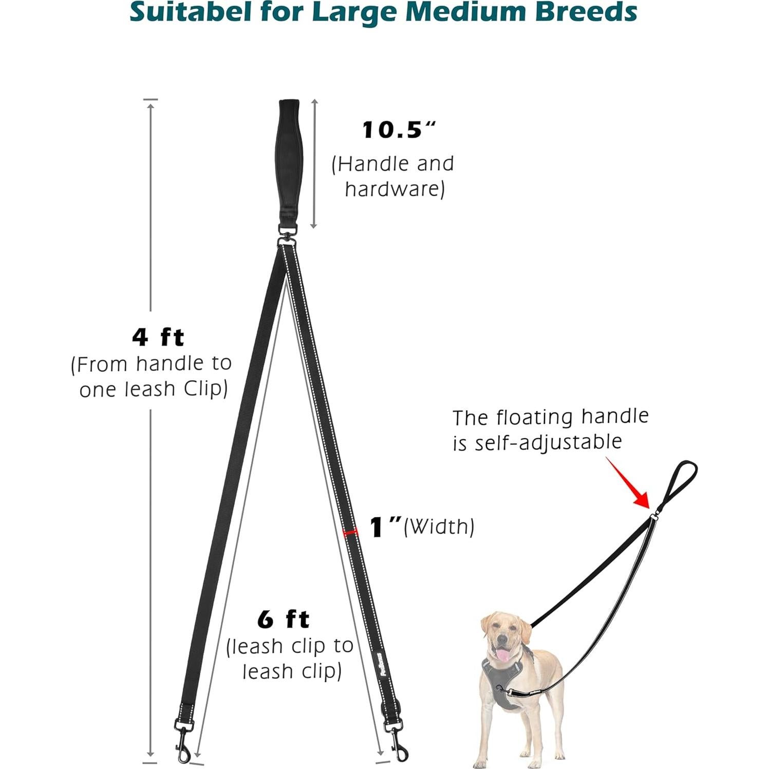 Correa para Perros PetBonus 2 Puntos, Mango Acolchado 1.22m