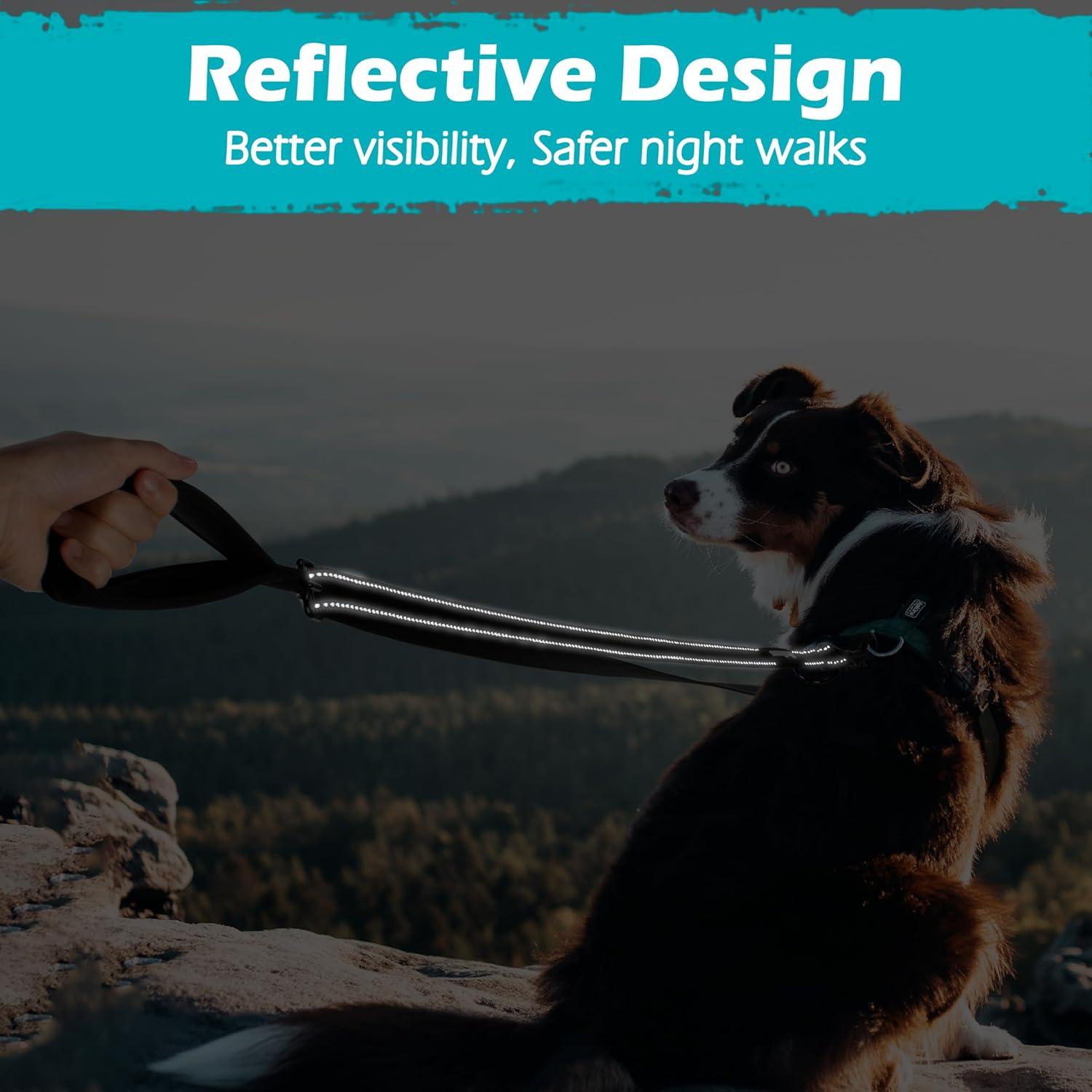 Correa para Perros PetBonus 2 Puntos, Mango Acolchado 1.22m