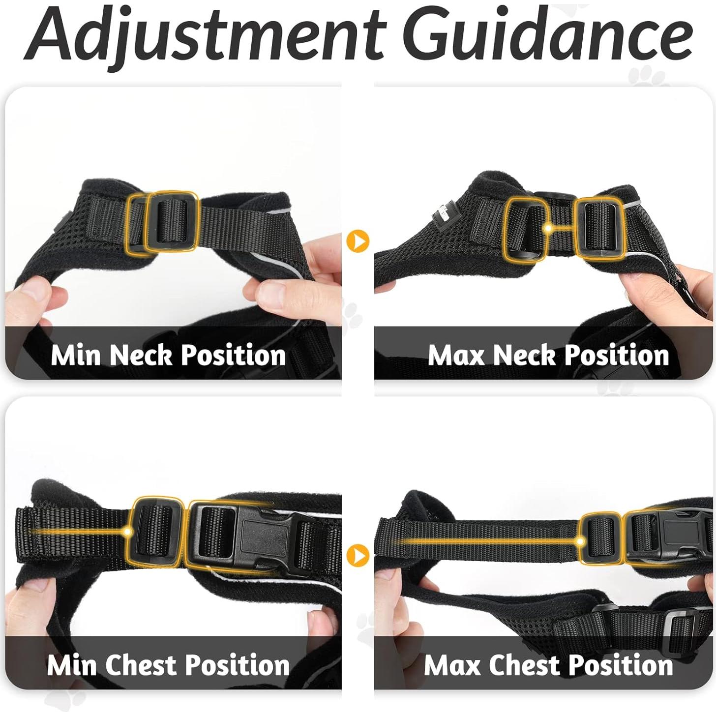 Arnés y Correa para Gatos Rabbitgoo Ajustable Negro XS