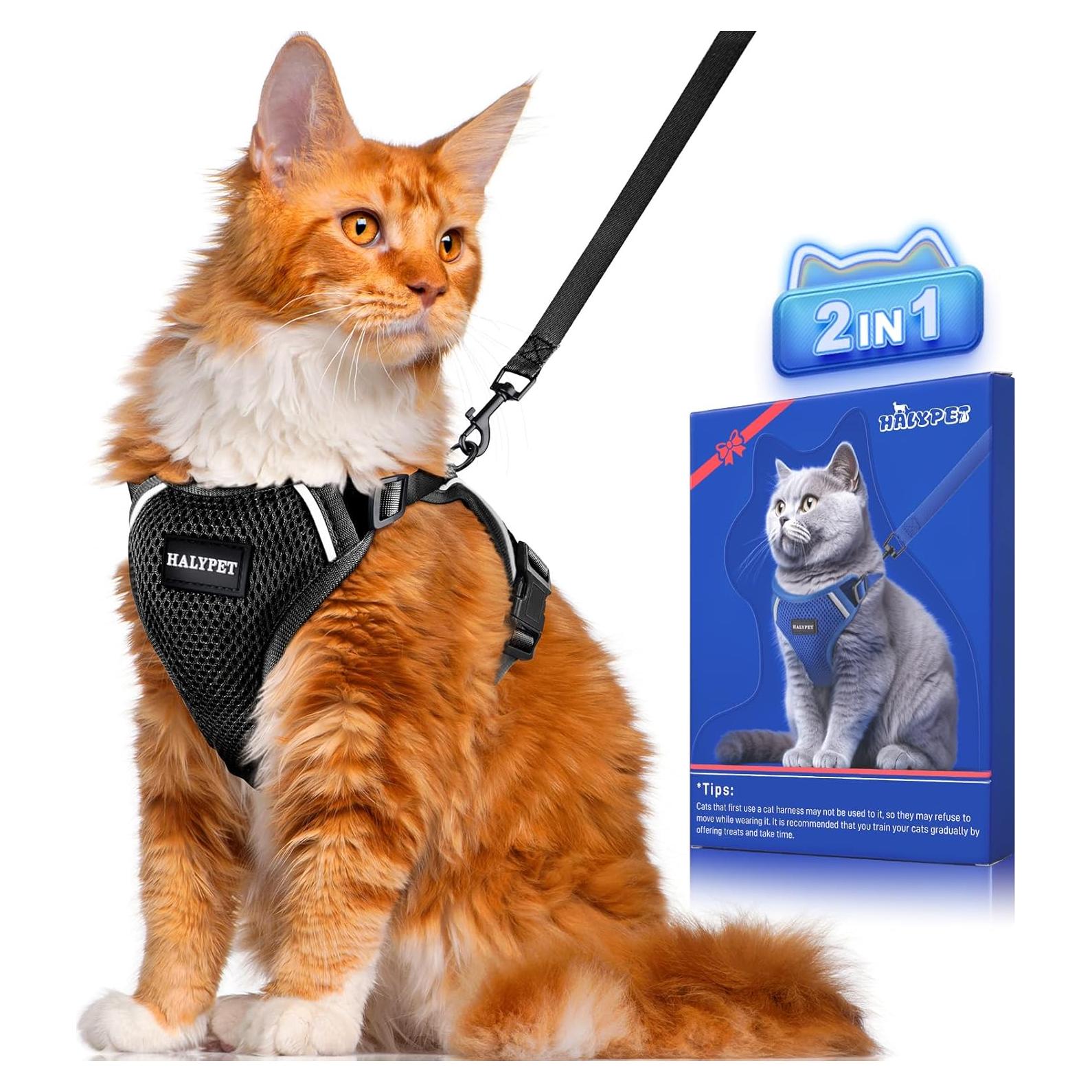 Conjunto Arnés y Correa para Gato Halypet H200 Pro Negro
