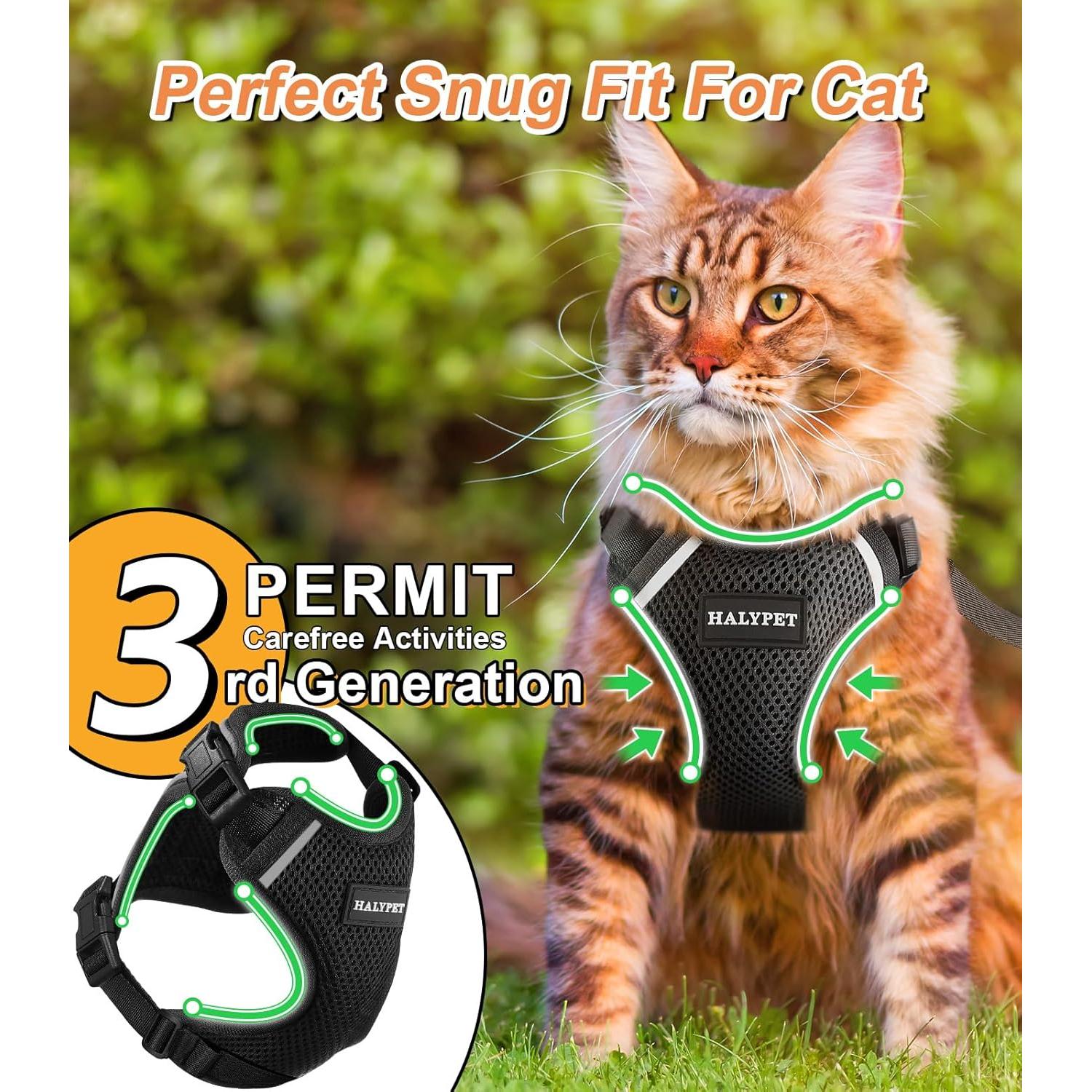 Conjunto Arnés y Correa para Gato Halypet H200 Pro Negro