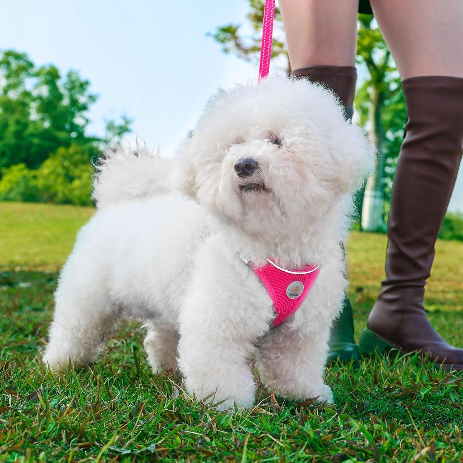 Arnés Suave y Correa para Perros Hipubby Rojo Rosa S