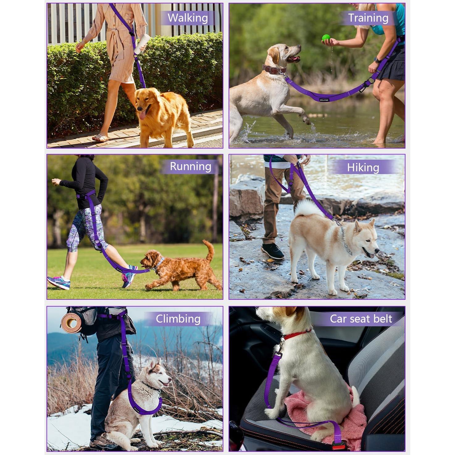 Correa para Perros Manos Libres WANFIRE 1.8-2.9m Púrpura