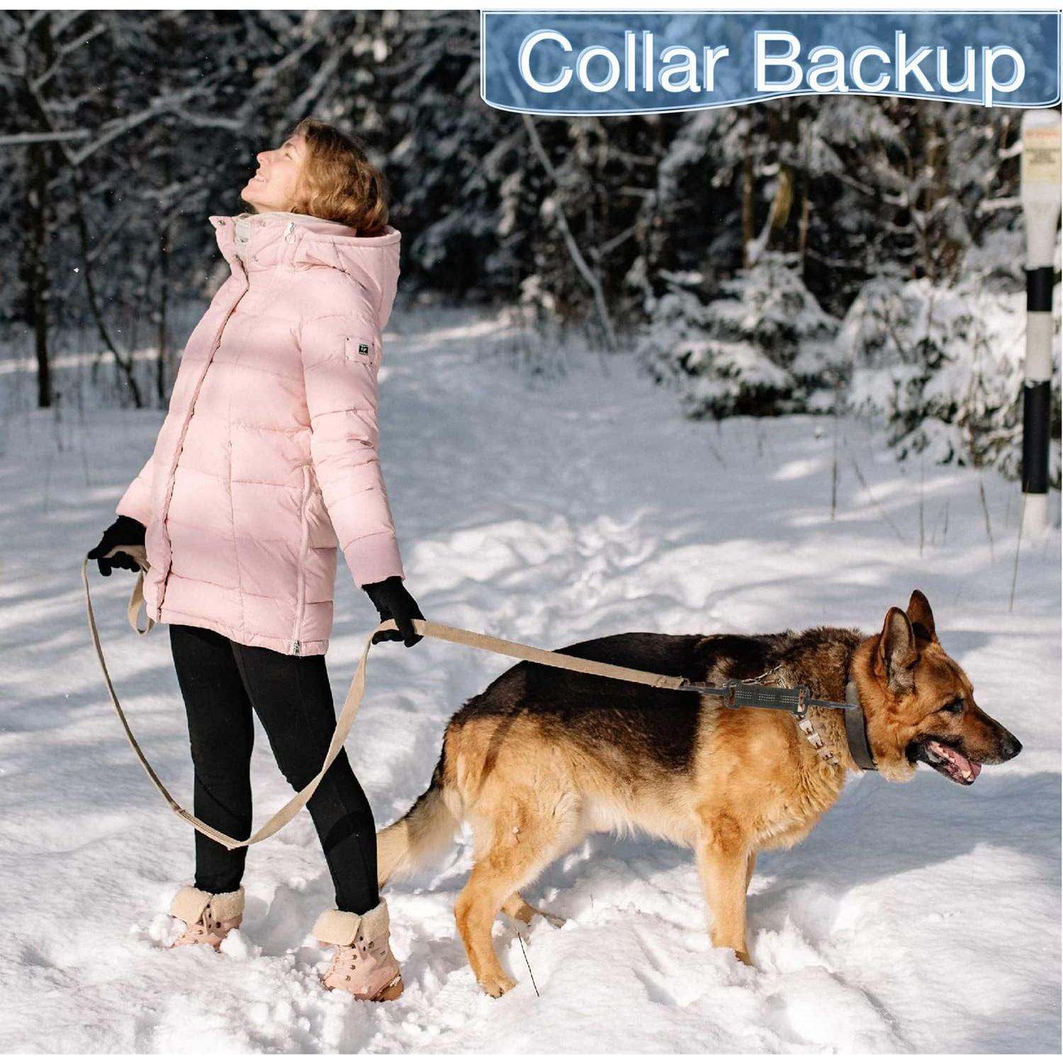 Clip de Seguridad para Collar de Perro 5 Pcs Reflectante