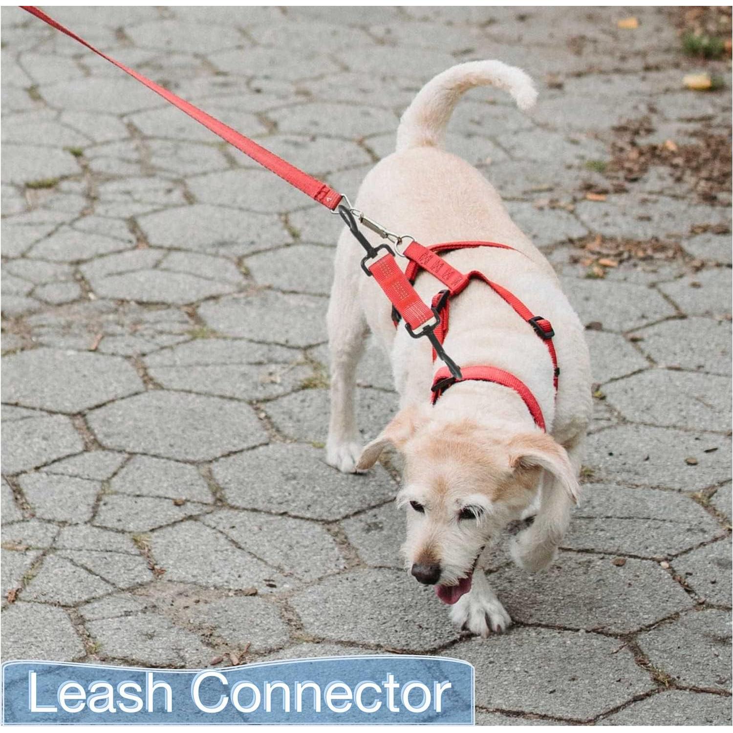 Clip de Seguridad para Collar de Perro 5 Pcs Reflectante