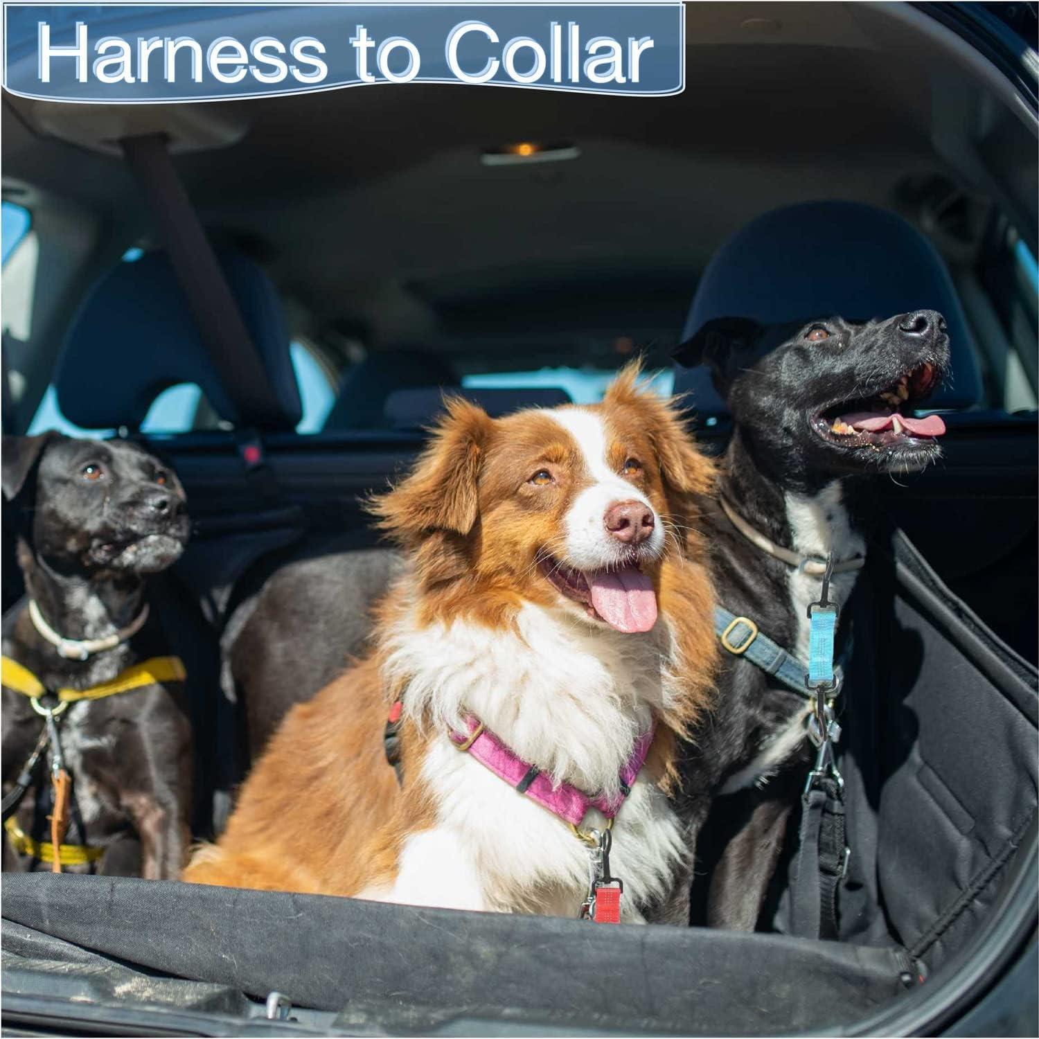 Clip de Seguridad para Collar de Perro 5 Pcs Reflectante