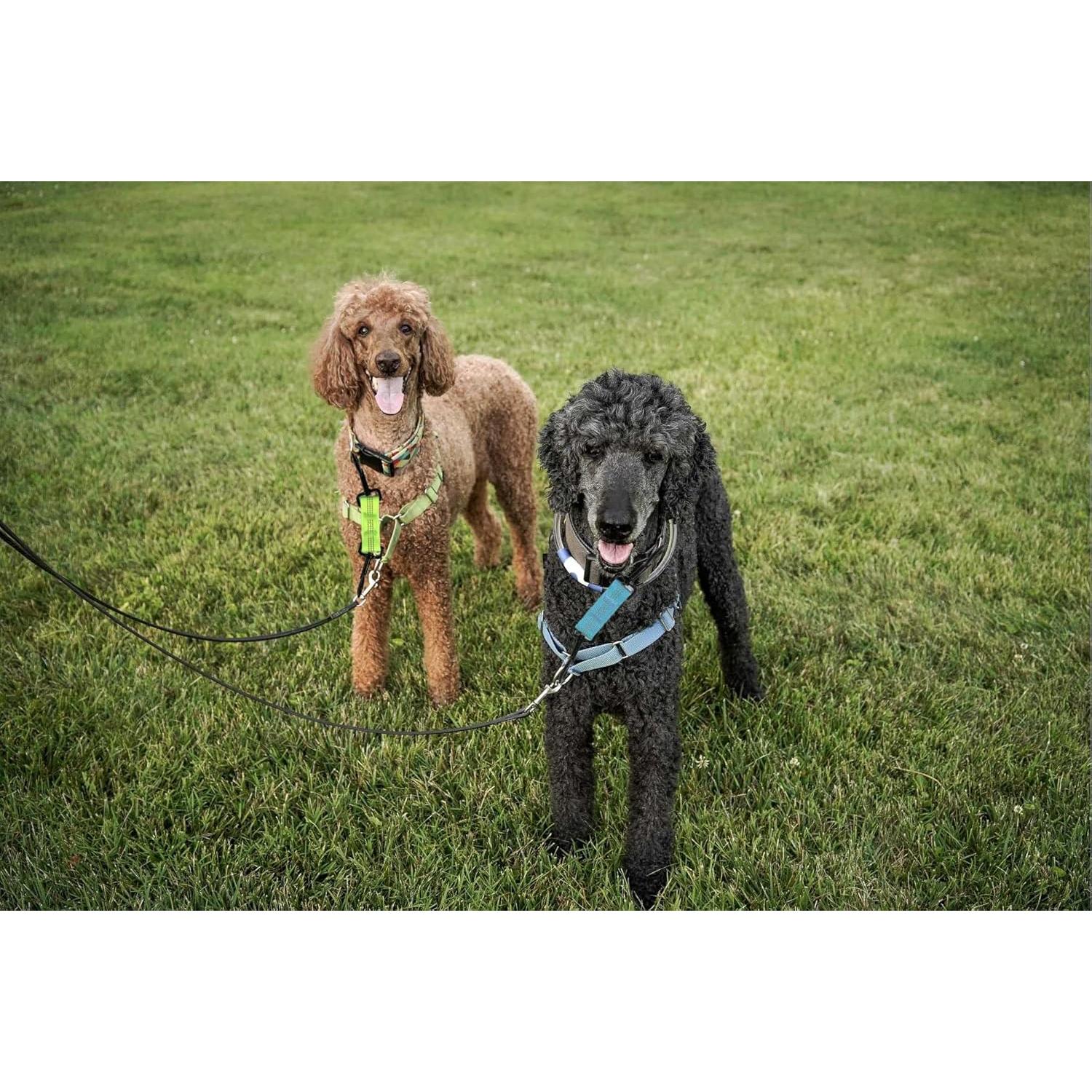 Clip de Seguridad para Collar de Perro 5 Pcs Reflectante