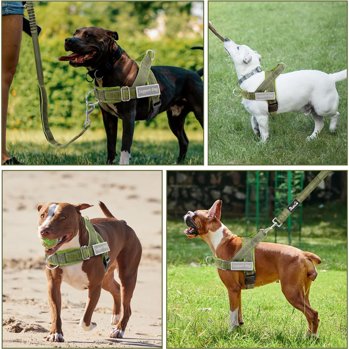 Arnés para Perros Lukovee Sin Tirones Verde Mediano Ajustable