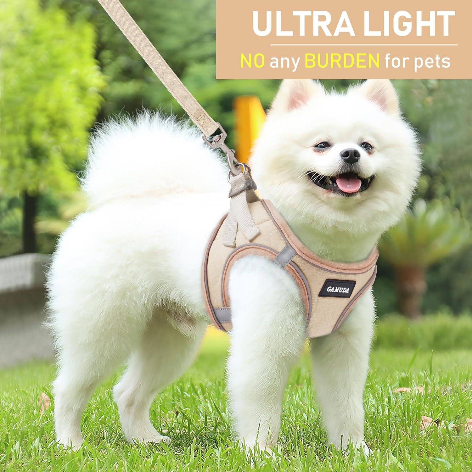 GAMUDA Arnés para Mascotas Pequeñas Caqui S, Collar y Correa