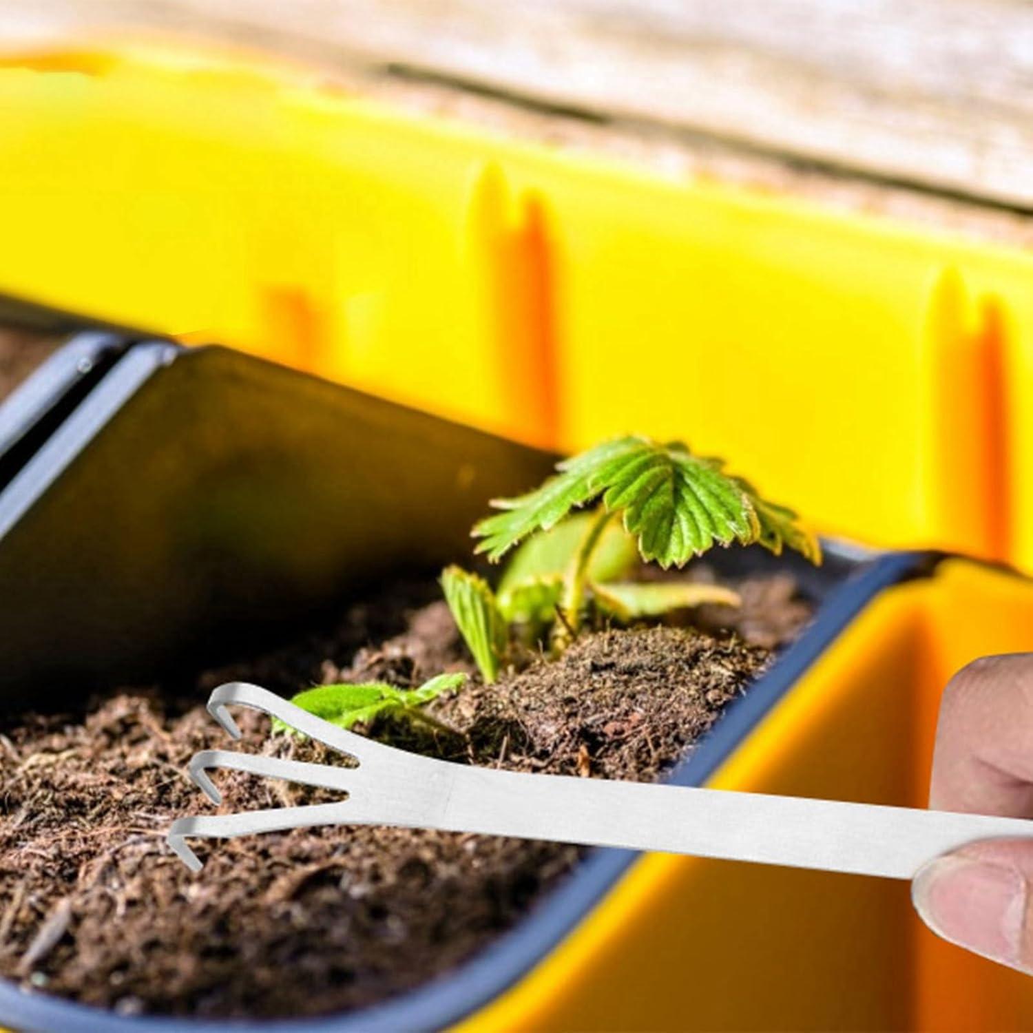 Rastrillo de Jardín GLOGLOW 24 cm Acero Inoxidable Ergonómico