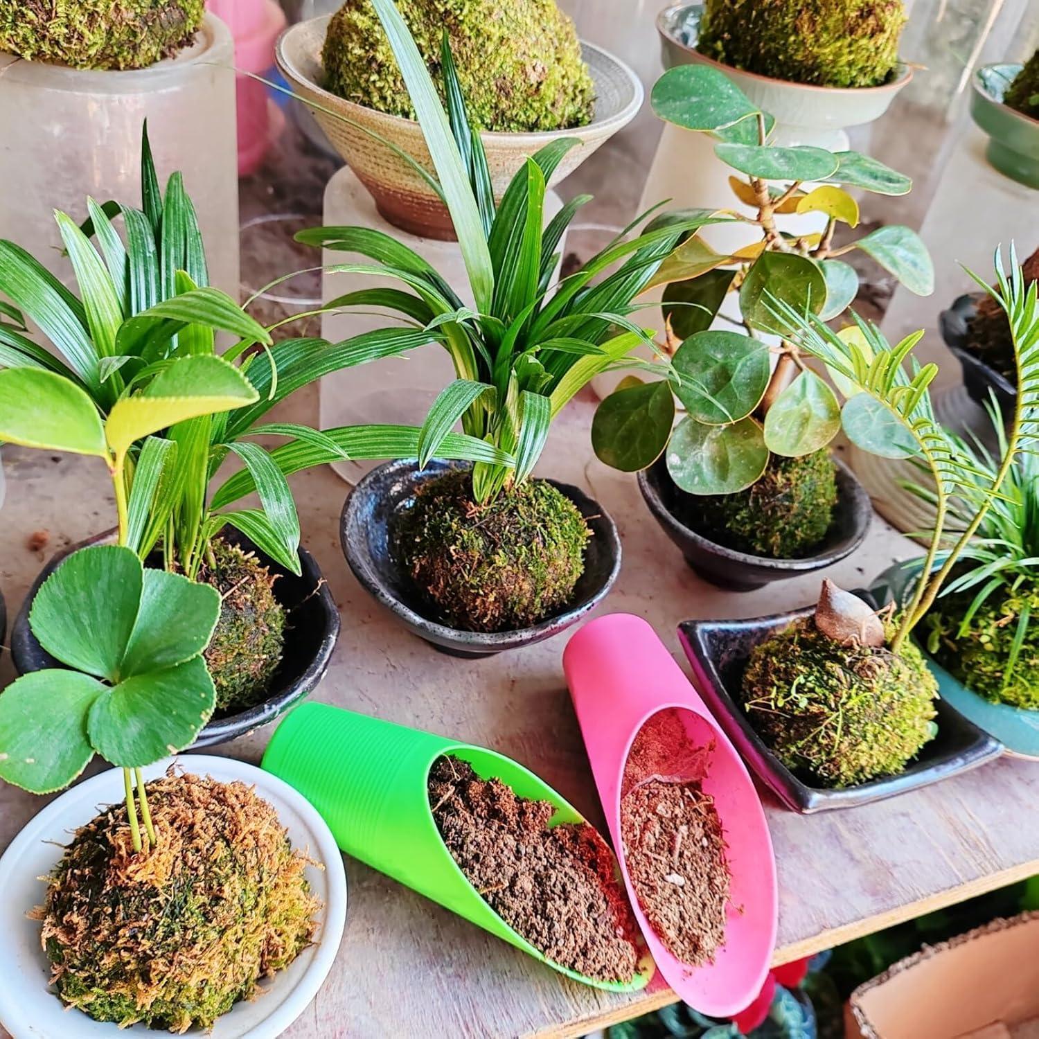 Kit de Herramientas de Jardín SUZLFTDZSW para Suculentas 8pcs