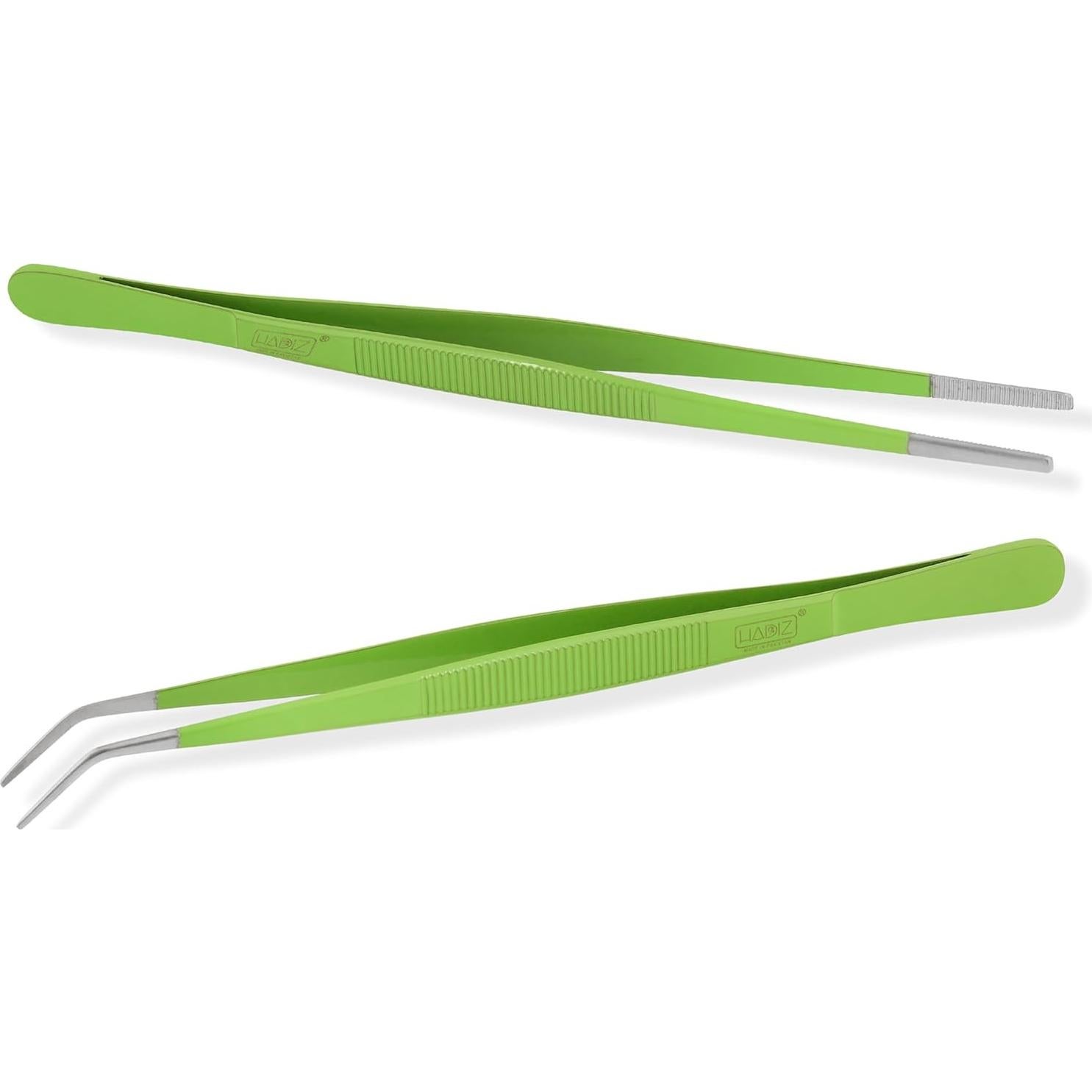 Juego de Pinzas de Jardín HADIZ 20 cm Acero Inoxidable Verde