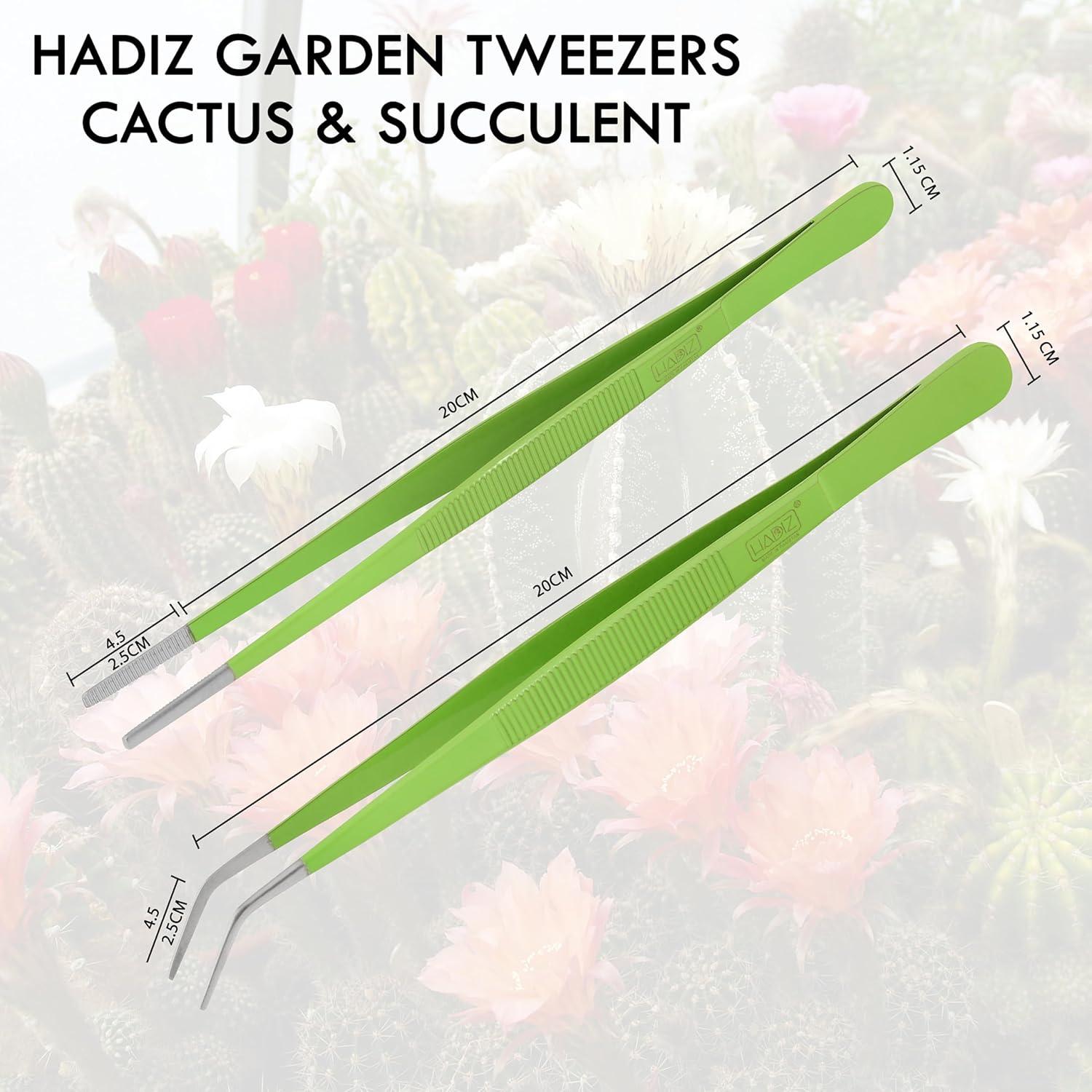 Juego de Pinzas de Jardín HADIZ 20 cm Acero Inoxidable Verde