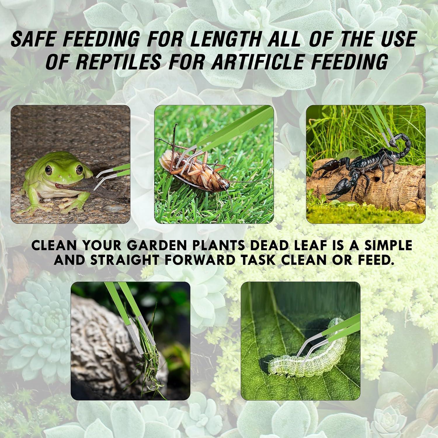 Juego de Pinzas de Jardín HADIZ 20 cm Acero Inoxidable Verde