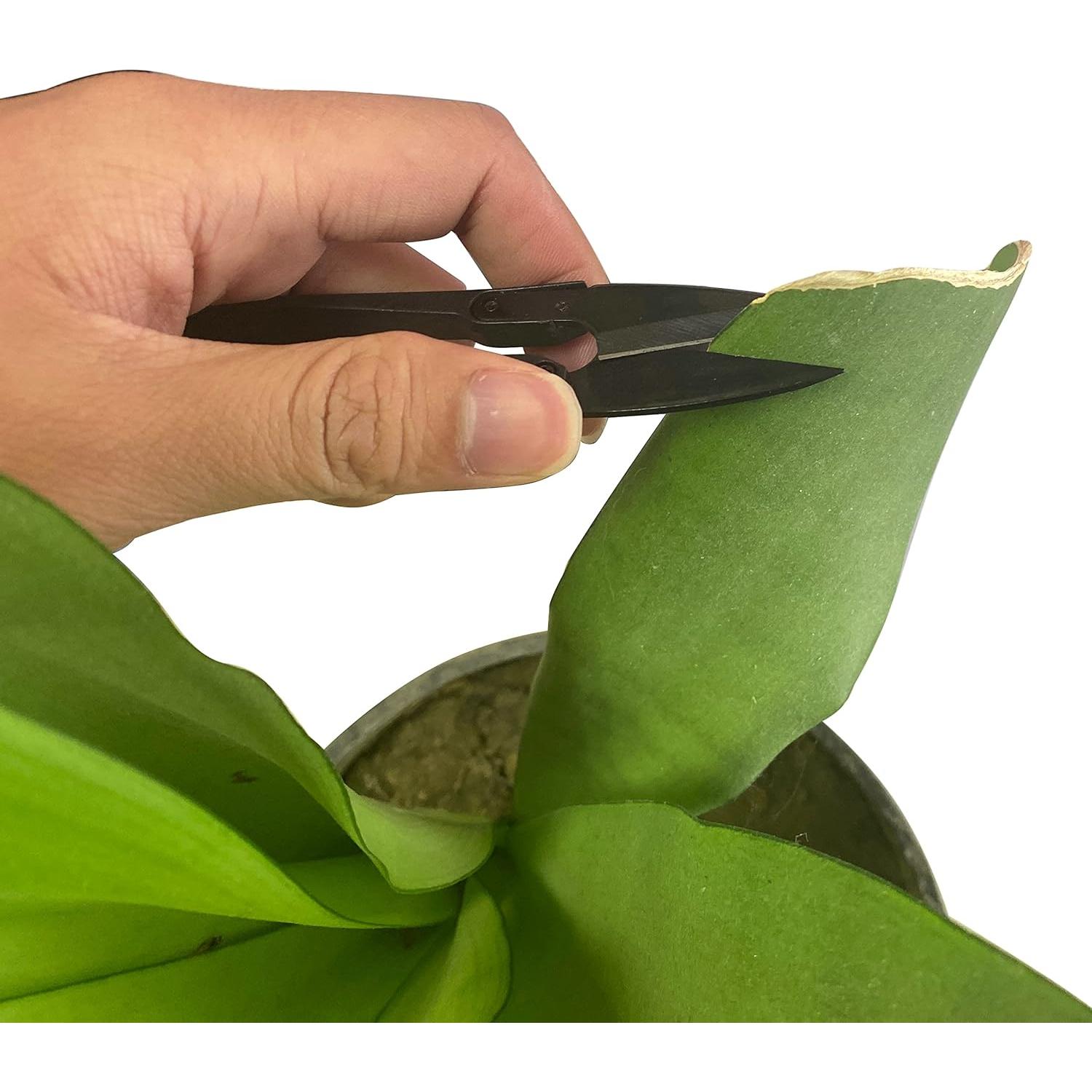 Tijeras de Poda HFS para Bonsai - Set de 6 Piezas, 105mm