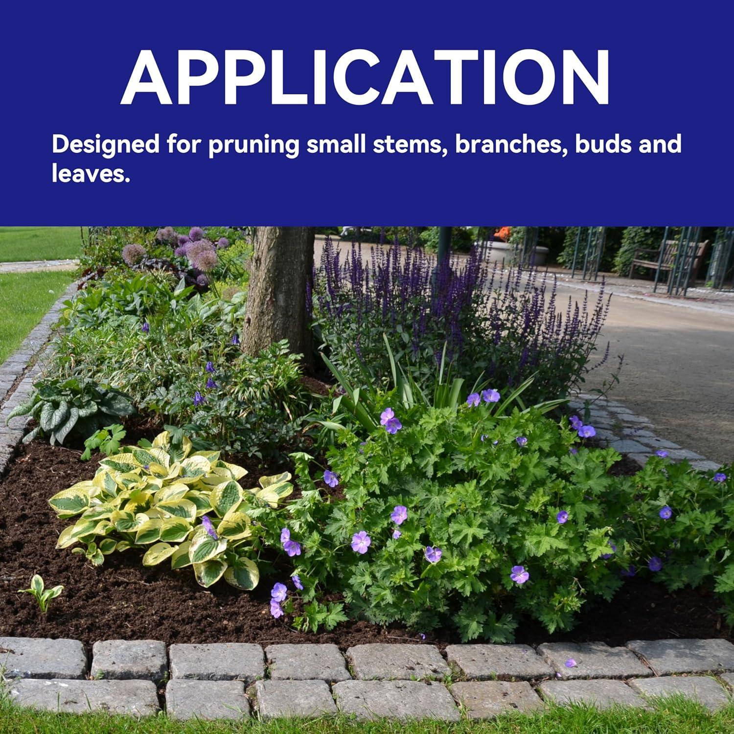 Tijeras de Poda HFS para Bonsai - Set de 6 Piezas, 105mm