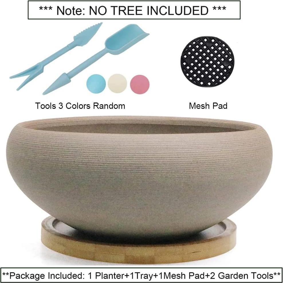 Maceta de Bonsai MUZHI Cerámica 20 cm Redonda sin Esmalte