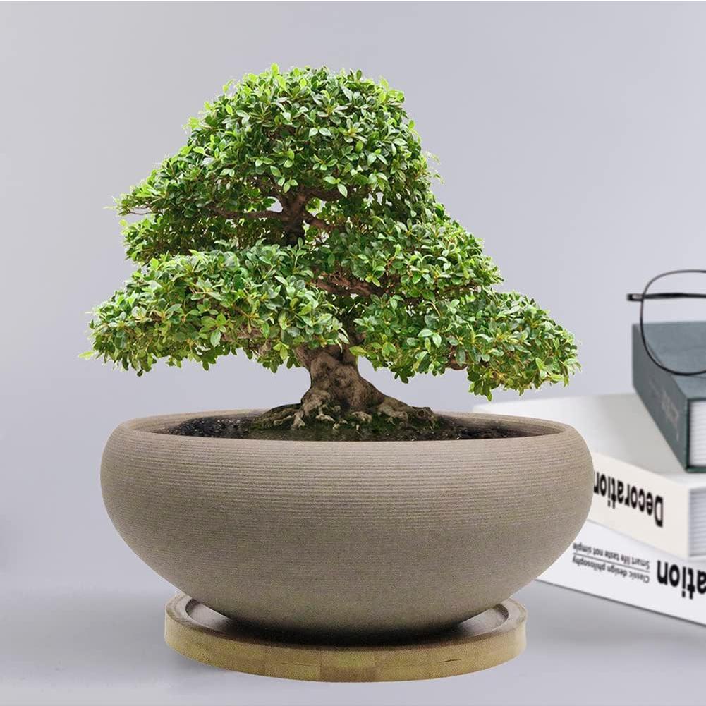 Maceta de Bonsai MUZHI Cerámica 20 cm Redonda sin Esmalte
