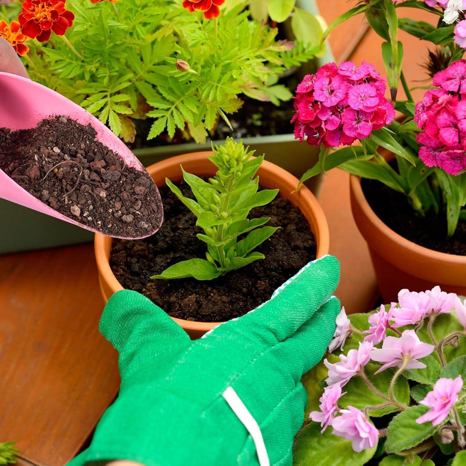 Juego de 12 Herramientas de Jardín HINZIC para Suculentas