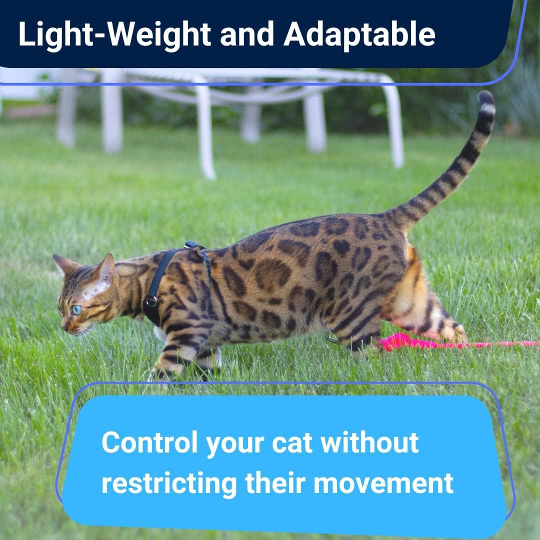 Arnés para Gato Mediano Houdini OutdoorBengal Negro