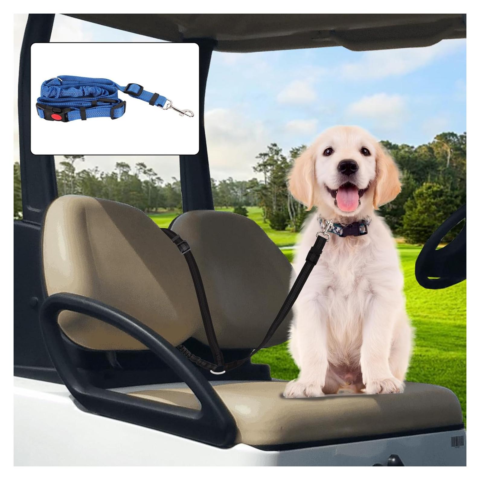 Correa de Seguridad para Perros Hezaosth en Carro de Golf