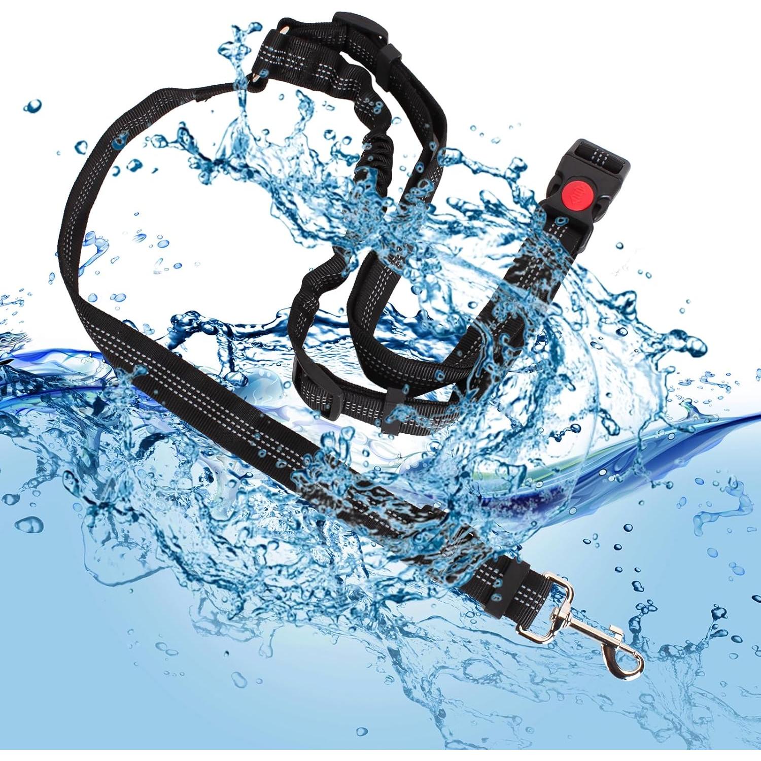 Correa de Seguridad para Perros Hezaosth en Carro de Golf