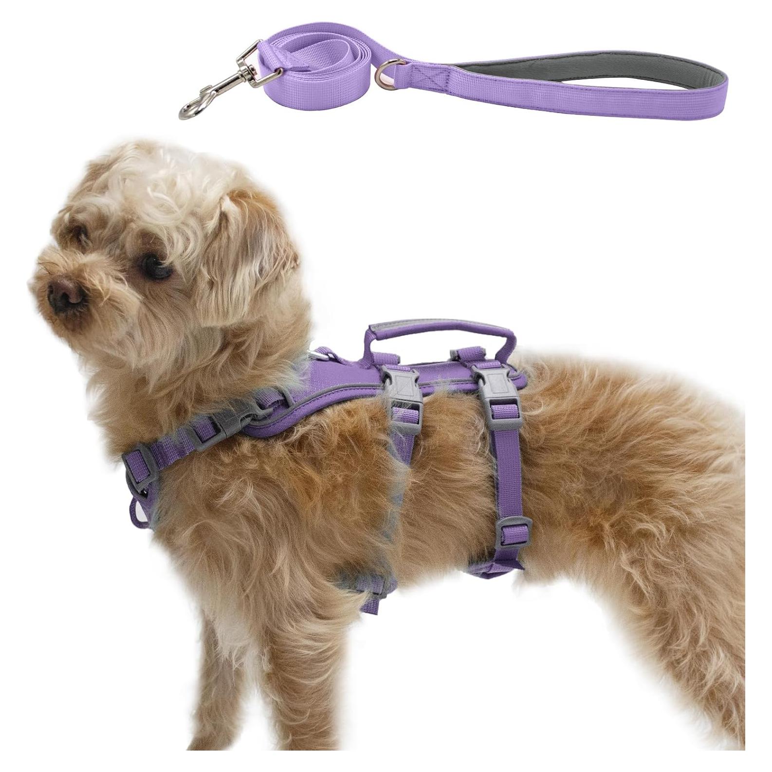 Arnés y Correa para Perros Wuffley XS Púrpura Reflectante