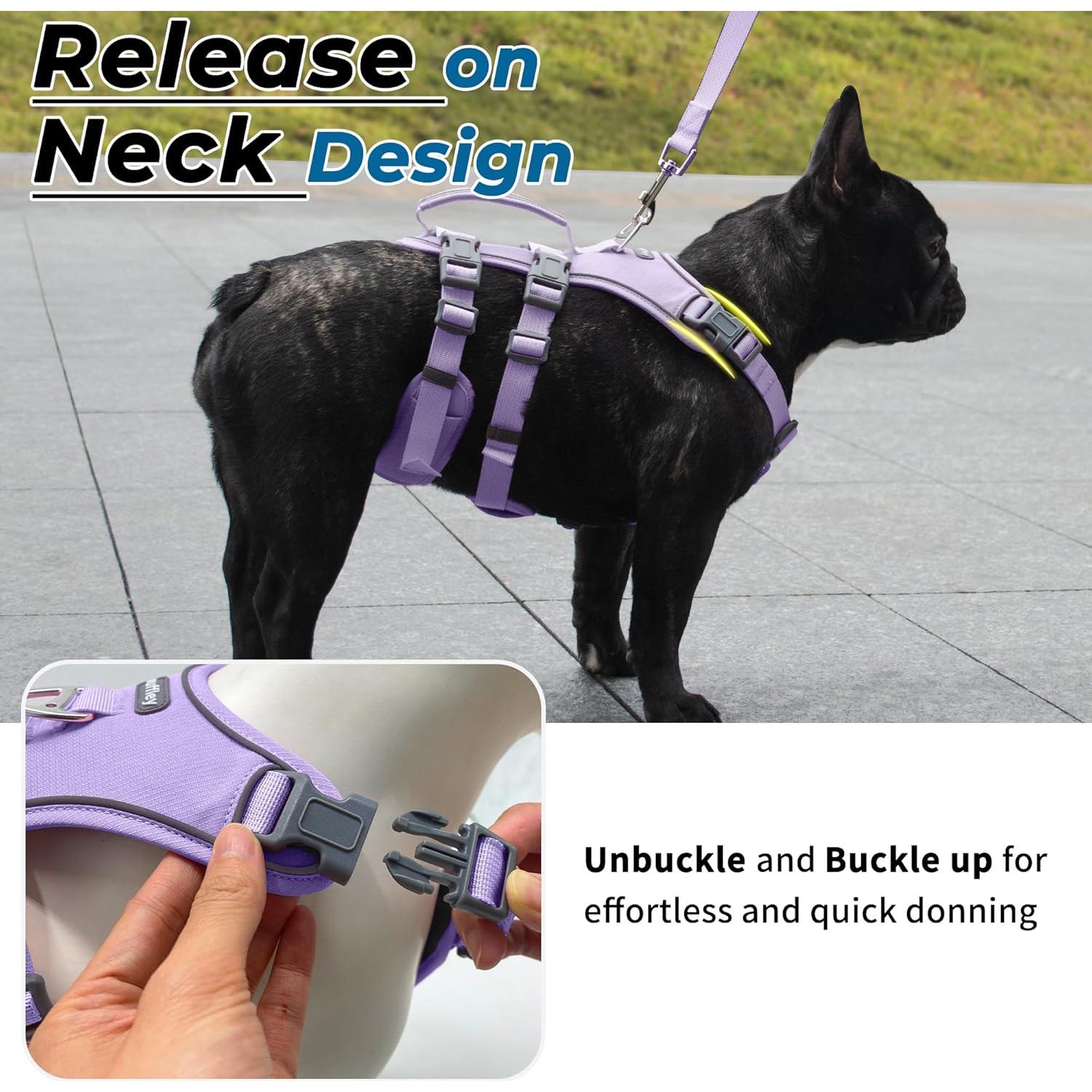 Arnés y Correa para Perros Wuffley XS Púrpura Reflectante