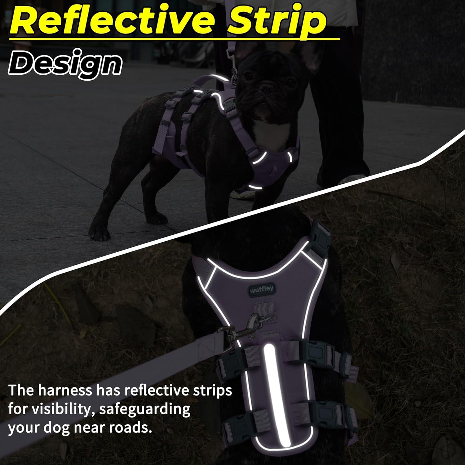 Arnés y Correa para Perros Wuffley XS Púrpura Reflectante
