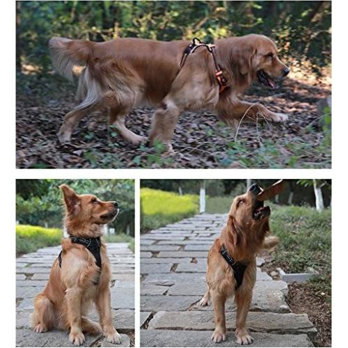 Arnés para Perros JUXZH Truelove L Púrpura Reflectante