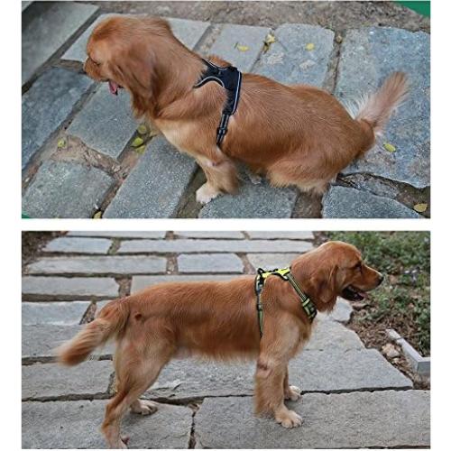 Arnés para Perros JUXZH Truelove L Púrpura Reflectante